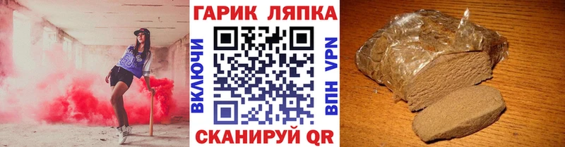 Купить закладки  Жиздра  Гашиш индика сатива 