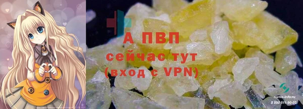 стафф Магас