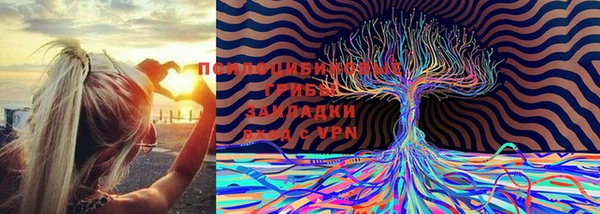 марки nbome Магадан