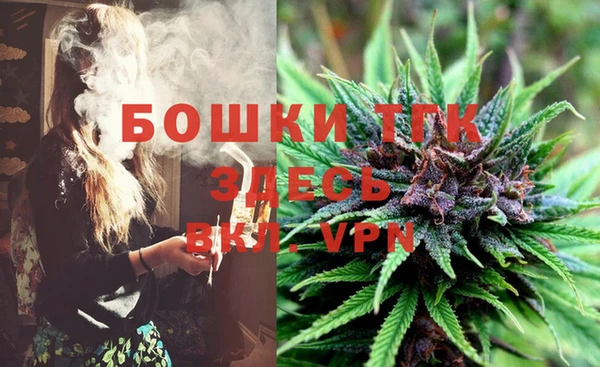 стафф Магас