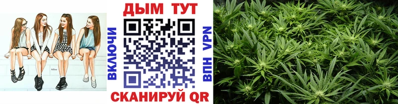 Купить  Жиздра  Каннабис гибрид 